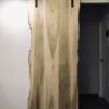 IMG 6810