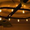 IMG 7801