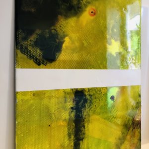 IMG 4757