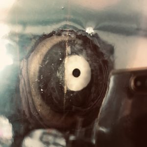 TENTACULITIS 9