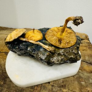 IMG 0264